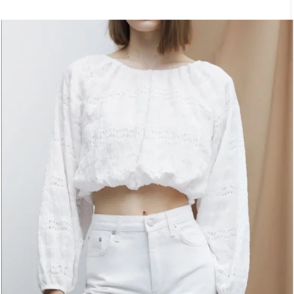 Zara Crop Top